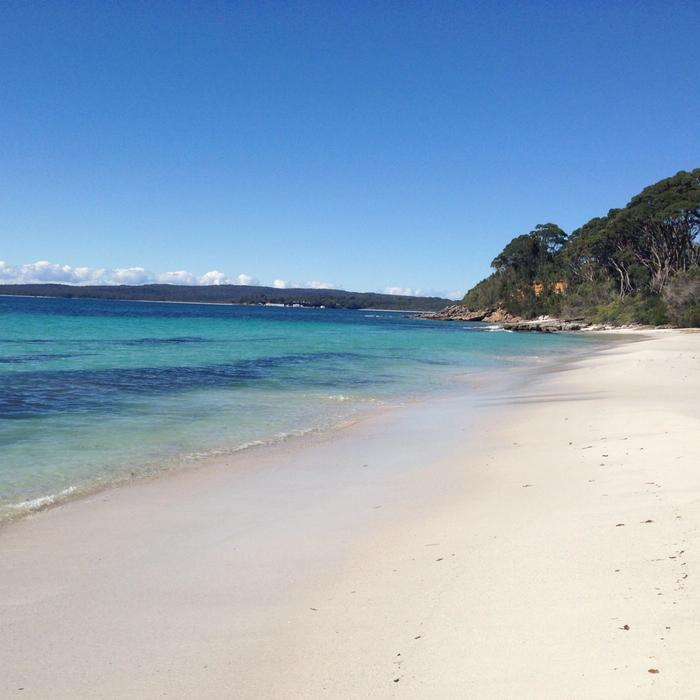 Colourful Collective Travel Jervis Bay Beach & Koalas (SAVER fare - non-refundable)