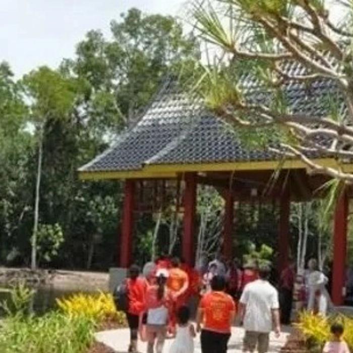 Cairns Waterfalls Cairns Explorer Tour