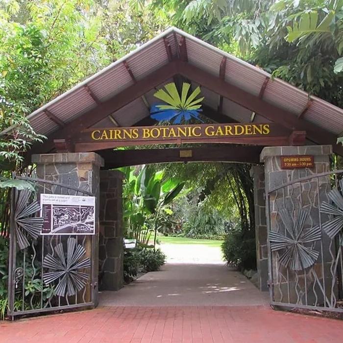 Cairns Waterfalls Cairns Explorer Tour