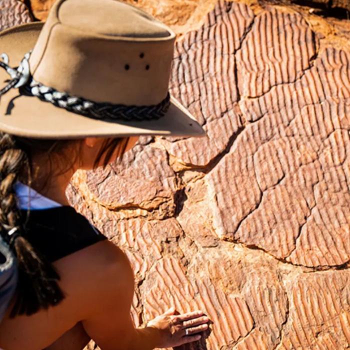 Intrepid Best of Northern Territory (Twin Share Room)