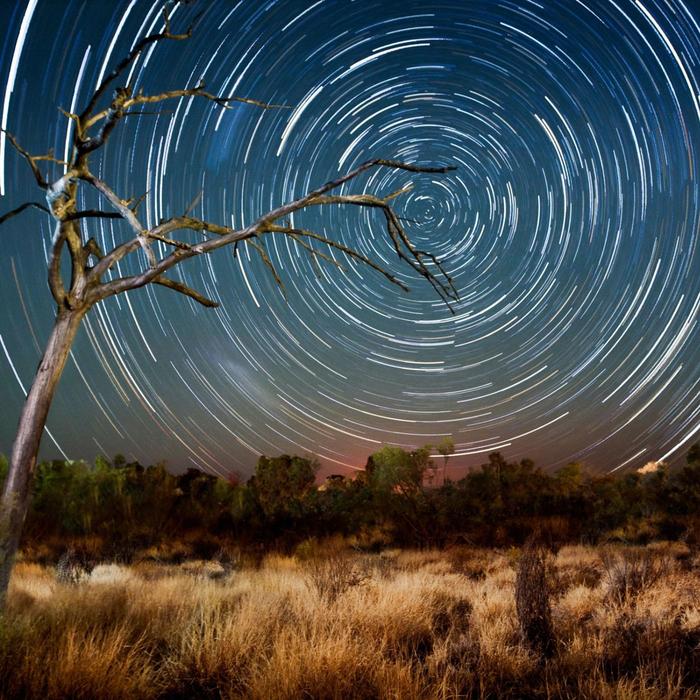 Wildlife Tours Australia Uluru Kings Canyon Rock Adventure - Tent (Yulara to Yulara or Alice Springs)