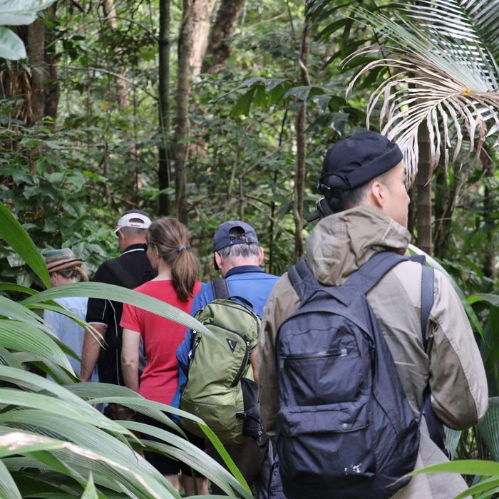 Cairns Adventure Group Daintree Discover: Rainforest & Reef - 2 Day Tour