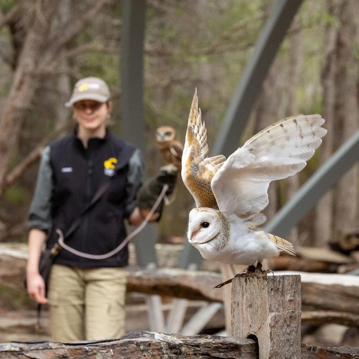 Capes Foundation Capes Raptor Centre