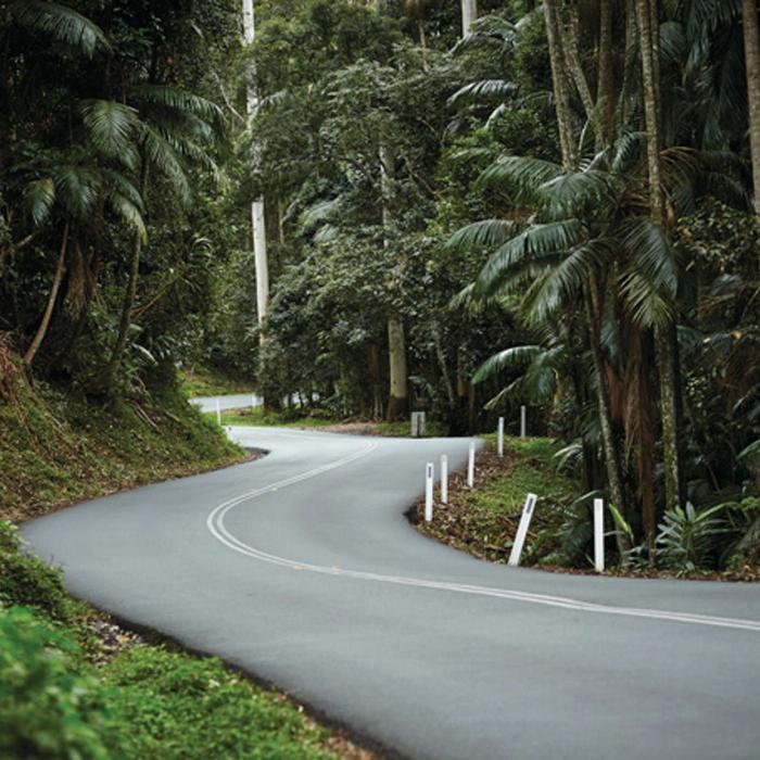 Pineapple Tours Tamborine Rainforest Skywalk + Hop on Hop Off Day Pass from Brisbane - P1P3ZO