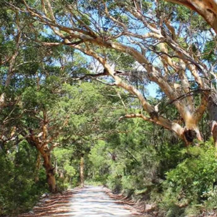 Intrepid Best of Perth, Margaret River and Rottnest Island