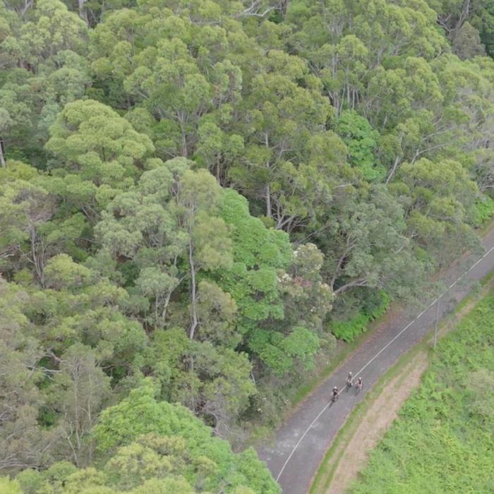 By Earth & Ocean Noosa E Bike Tour - Mt Tinbeerwah to Noosa