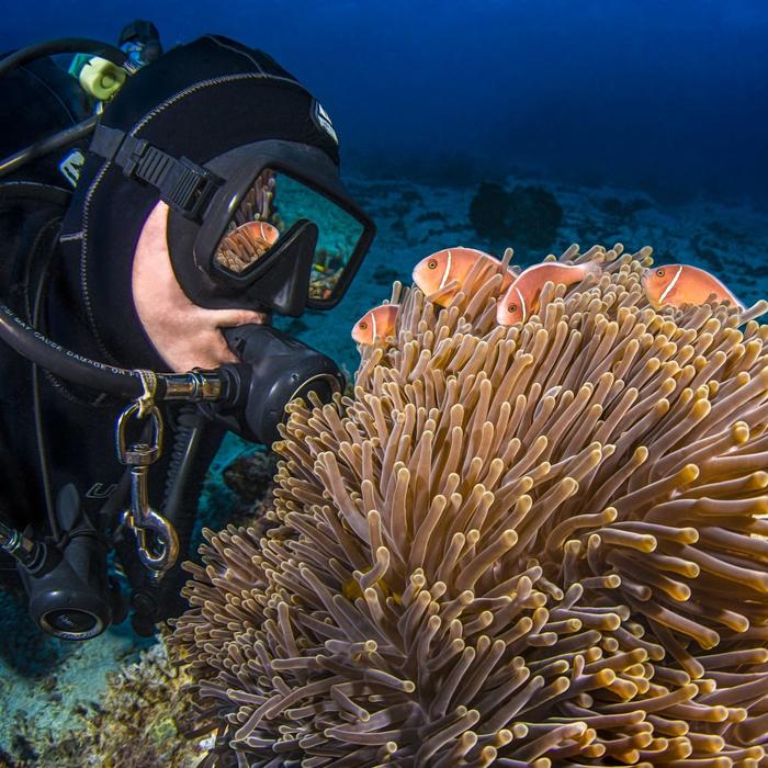Passions of Paradise Full Day Outer Great Barrier Reef Tour + 2 Certified Dives