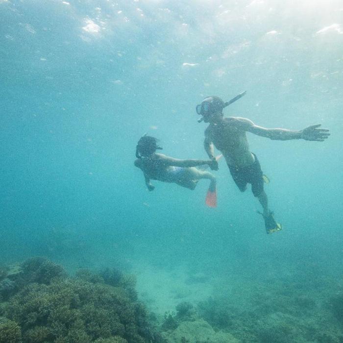 Ocean Dynamics Airlie Beach - Private Ocean Free Half Day Charter Inner Reef Snorkel