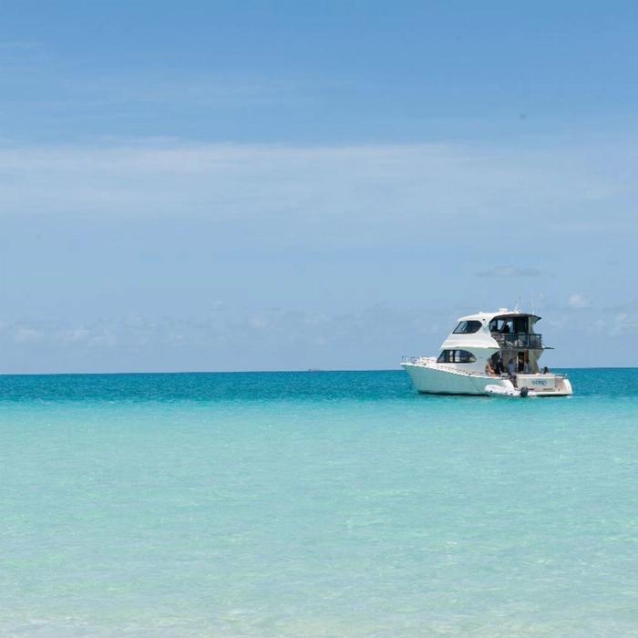 Ocean Dynamics Airlie Beach - Private Ocean Free Half Day Charter Inner Reef Snorkel