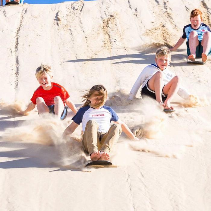 Brighton Coach & Tours Port Stephens Experience