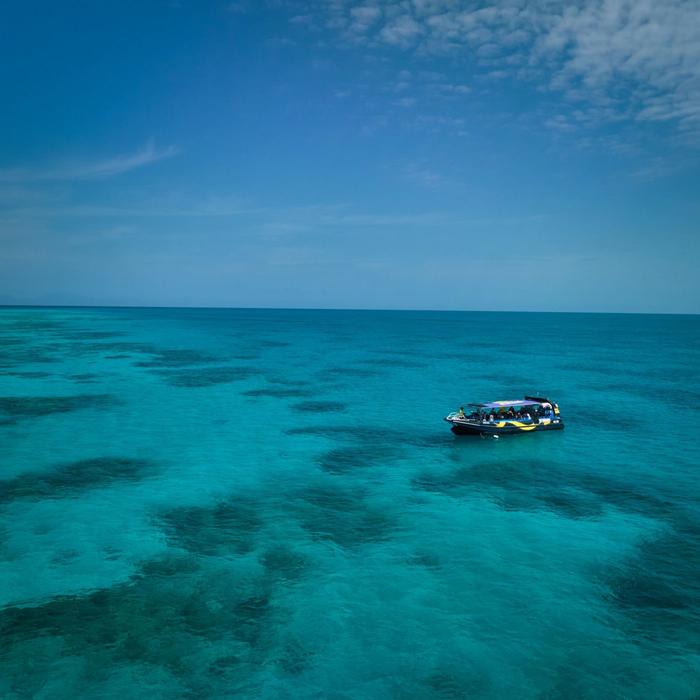 Reef Adventures Private Charter - Half Day