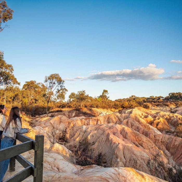 Explore Australia Murray River, Paddle Steamer & Wildlife Experience