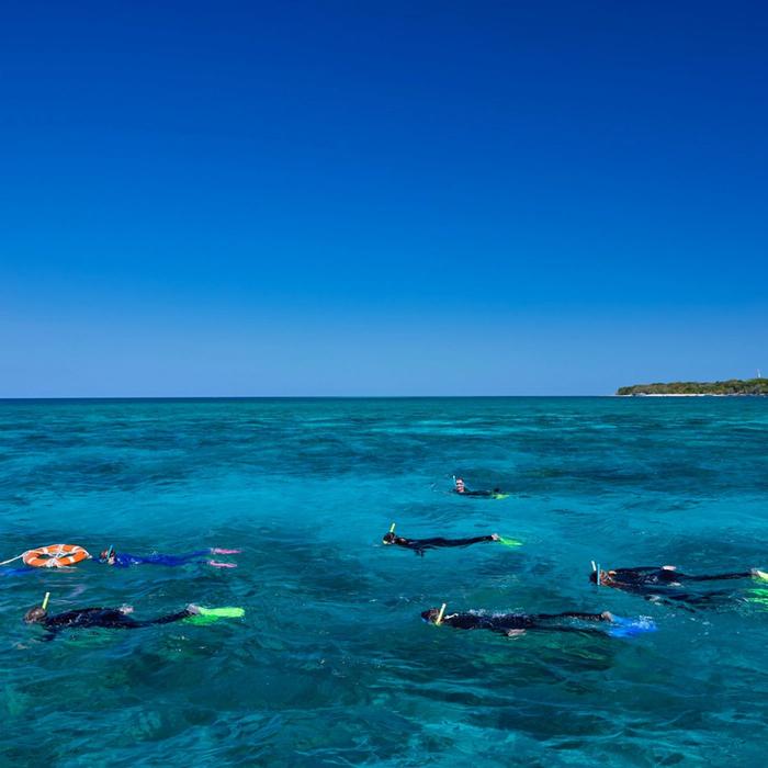 Big Cat Green Island Reef Cruises Green Island Tour Full Day including Diving