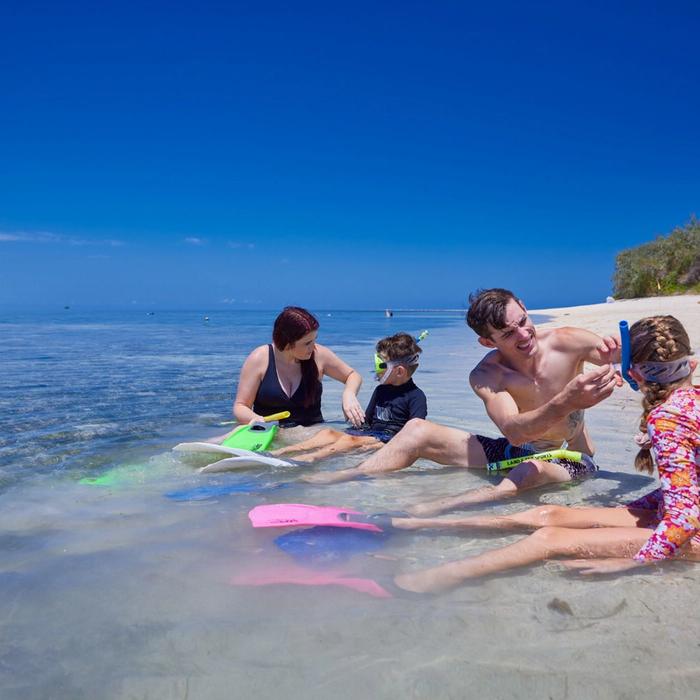 Big Cat Green Island Reef Cruises Green Island Tour Full Day including Diving
