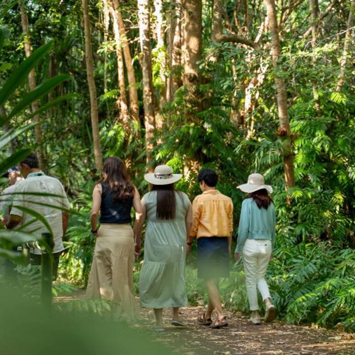 Down Under Tours Waterfall, Wetlands and Scenic Rail (Port Douglas)