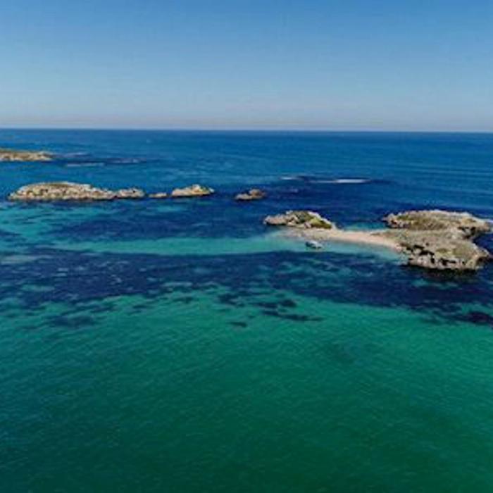 Perth Wildlife Encounters Swim with Wild Dolphins