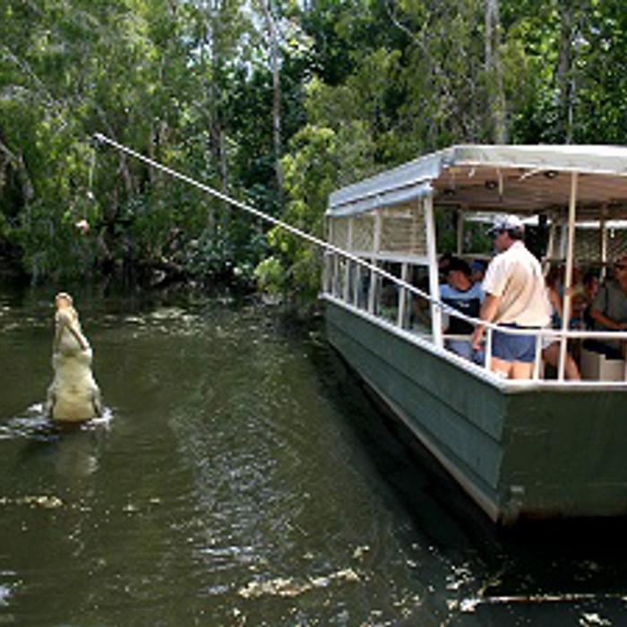 Beaches Meet & Greet Hartley's Crocodile Adventures- AM - Palm Cove