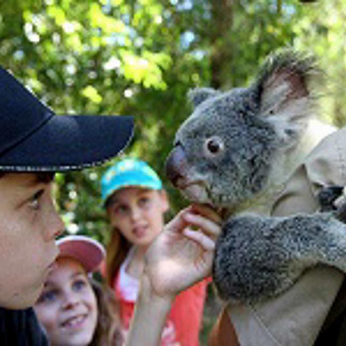 Beaches Meet & Greet Hartley's Crocodile Adventures- AM - Palm Cove