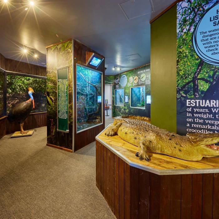 Cairns Koalas & Creatures - Private Wildlife Experience