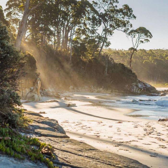 Tassie Tours 5 Day Island Icons Day Tour Bundle - Cradle Mountain, Wineglass Bay, Port Arthur, Bruny Island, and Hobart Highlights