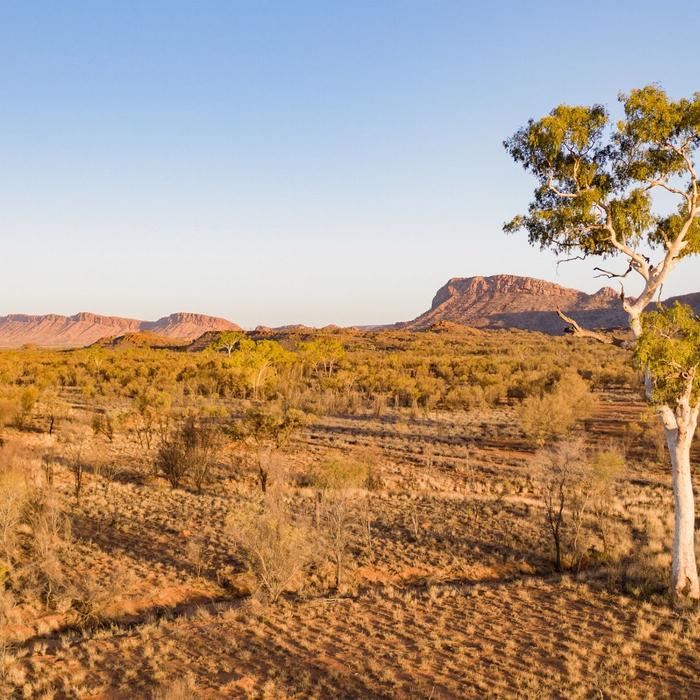 Emu Run Half Day West MacDonnell Ranges Tour
