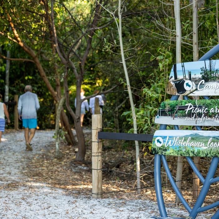 Whitsunday Island Camping Connection Ngaro Track Transfer Departure