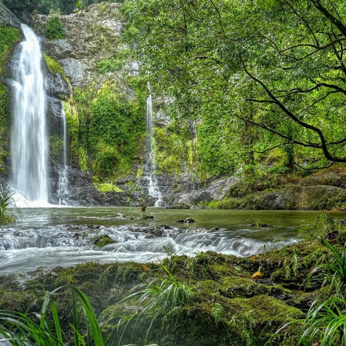 Cassowary Falls Gateway UTV Guided Waterfall Tour