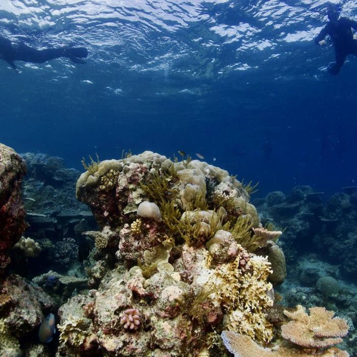 GSL Aviation Fly & Snorkelling Adventures