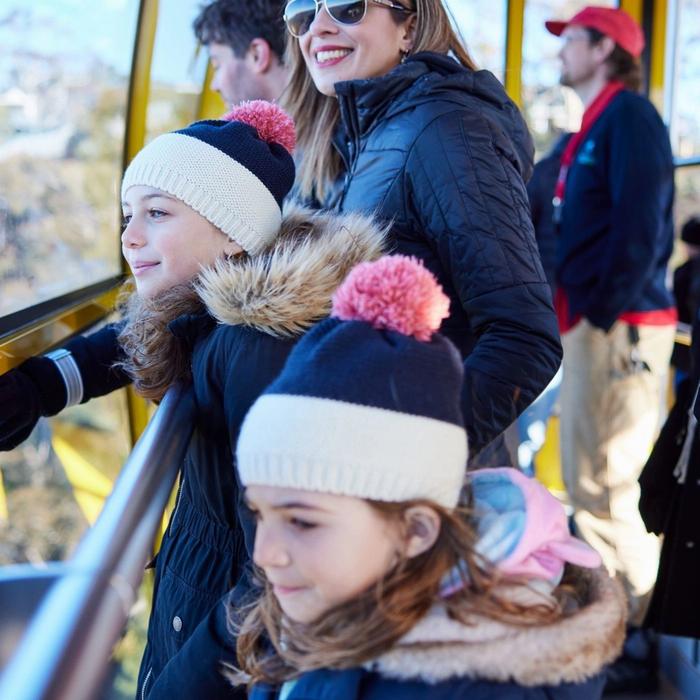 Brighton Coach & Tours Blue Mountain Half Day Experience