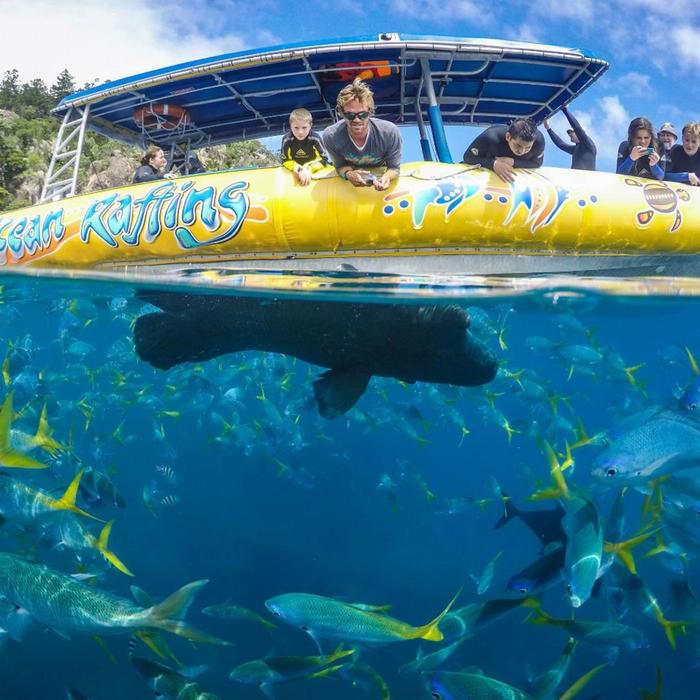 Ocean Rafting Half Day Splash | Morning | Reef and Snorkel
