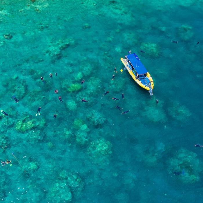 Ocean Rafting Half Day Splash | Morning | Reef and Snorkel