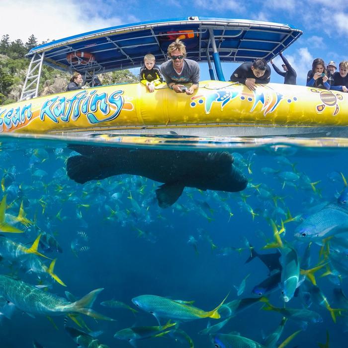 Ocean Rafting Half Day Splash| Afternoon | Reef and Snorkel