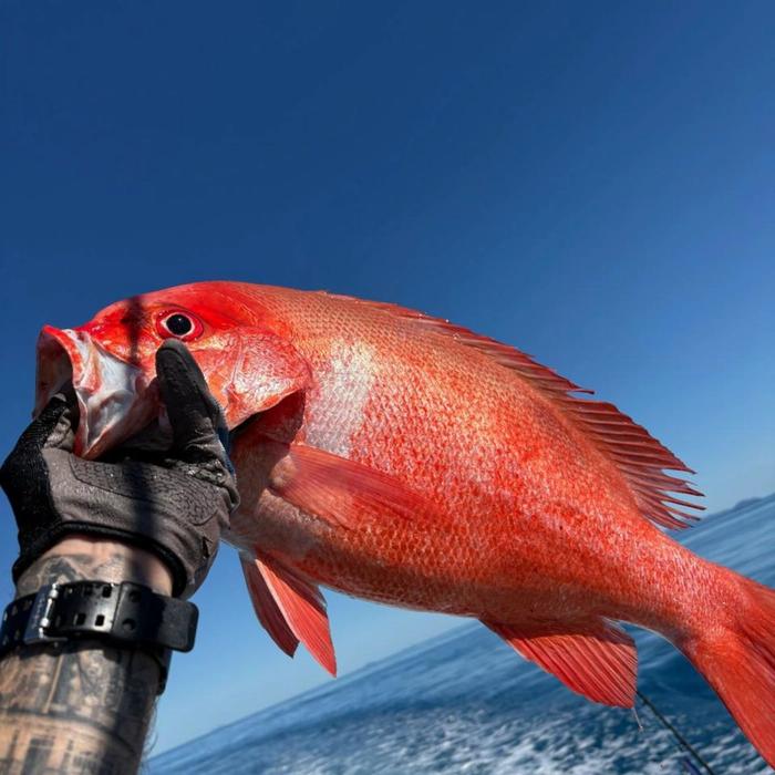 Ocean Rafting Half Day Fishing Tour | Morning