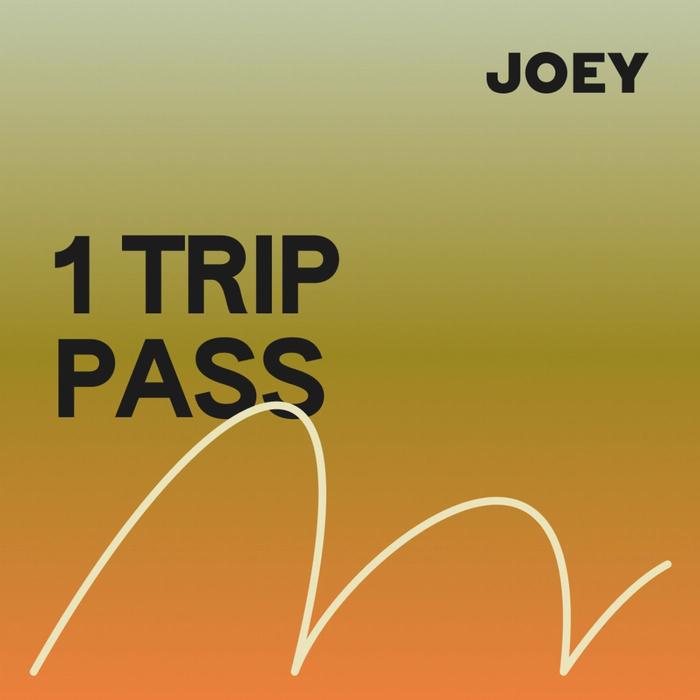 Joey Travel 1 Trip Pass (Noosa / Byron Bay / Brisbane / Gold Coast)