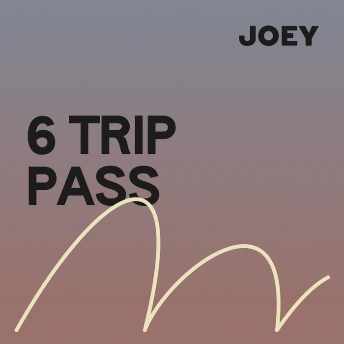 Joey Travel 6 Trip Pass (Noosa / Byron Bay / Brisbane / Gold Coast)