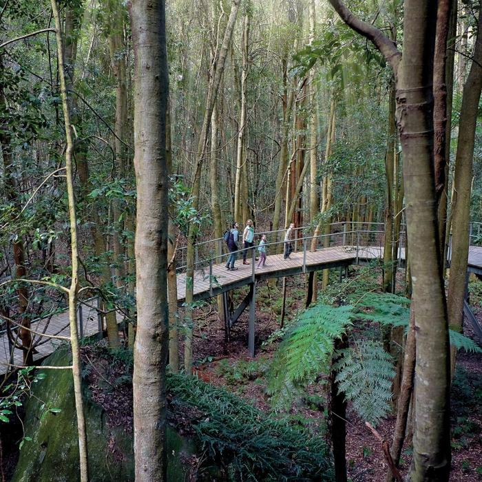 Wine Hop And Coastal Tours Blue Mountains Zig Zag Tour with Steam Train Ride, Scenic World, Three Sisters & Ferry Harbour Cruise