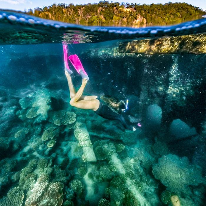 Tangalooma Island Resort Wrecked & Wild: Dolphins & Snorkel with Return Bus Transfers from Brisbane