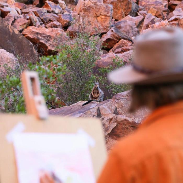 Art Tours of Australia Simpsons Gap Sunset: watercolour painting class