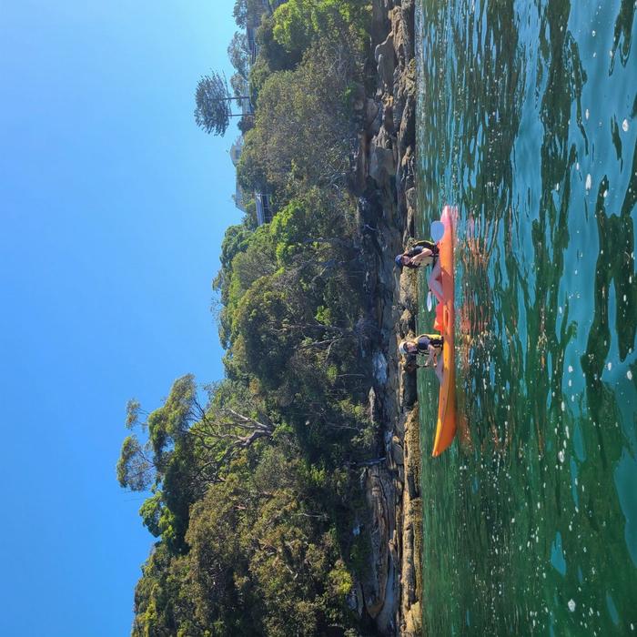 Manly Kayak Centre Three Beaches Kayak Tour - 4 hours