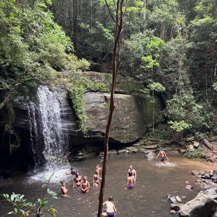 Joey Travel Buderim Waterfall Trip