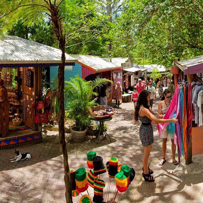 Down Under Tours Kuranda Self Drive: Skyrail (09:45am) and Scenic Rail (2:00pm)