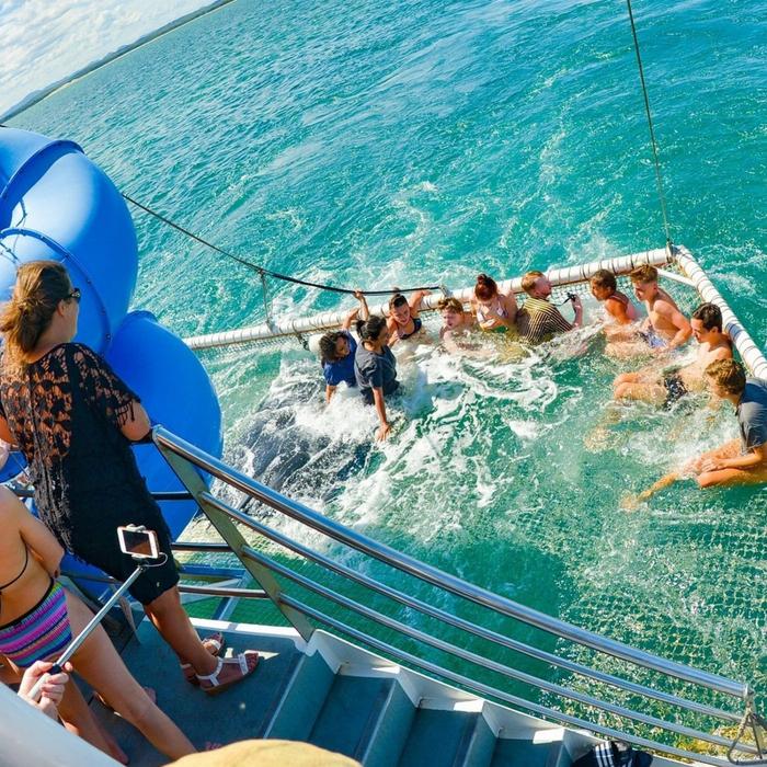 Moonshadow-TQC Cruises Port Stephens: 1.5hr Dolphin Discovery Cruise