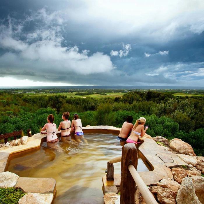 Moonraker Dolphin Swims Dolphins, Seals and Hot Springs Experience