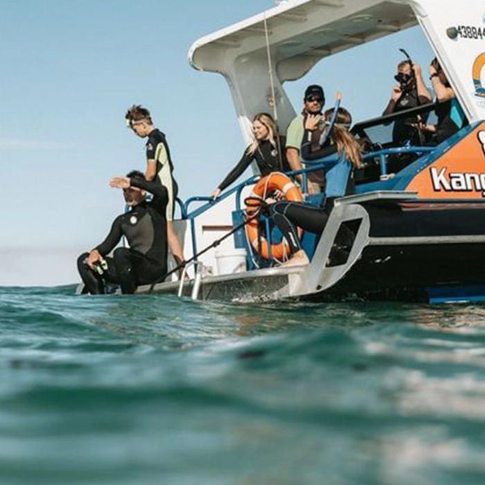 Kangaroo Island Marine Adventures Kangaroo Island Dolphin Swim & Marine Wildlife Tour