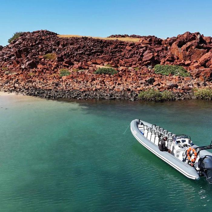 Lethal Adventures Full Day Private Charter