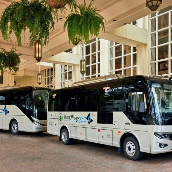 Tropic Wings Transfers from Port Douglas to Palm Cove - One Way