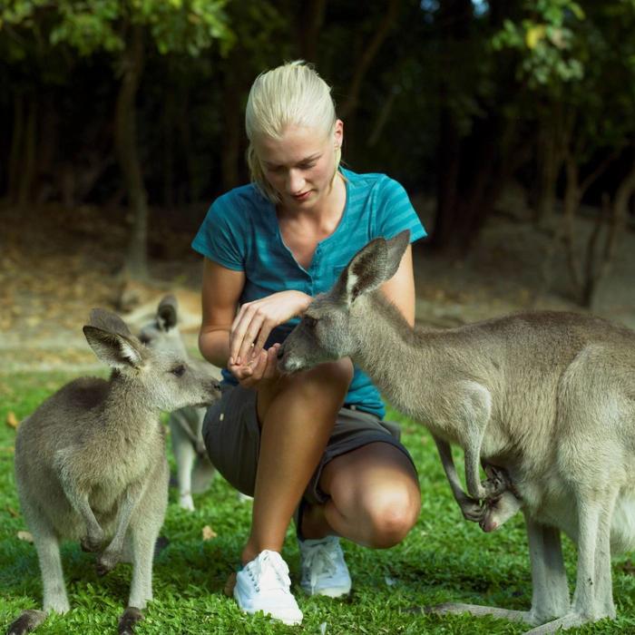 Kuranda & Outback Tours Kuranda with Hartley's Crocodile Park and Scenic Train