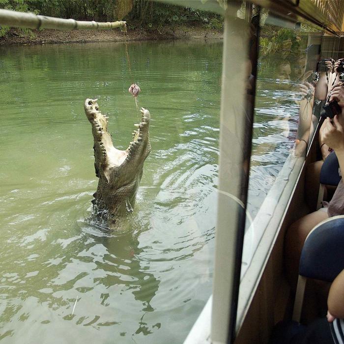 Kuranda & Outback Tours Kuranda with Hartley's Crocodile Park and Scenic Train