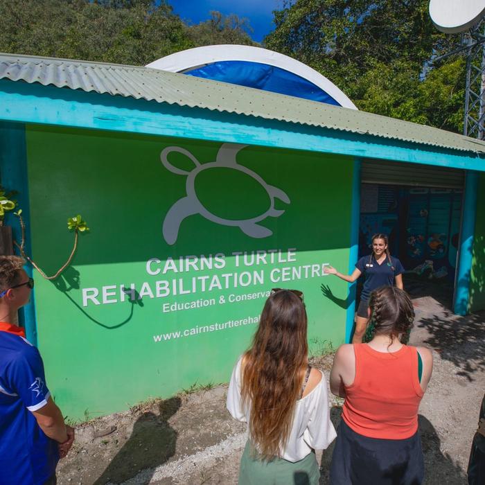 Sunlover Reef Cruises ADD-ON - Fitzroy Island - Turtle Talk