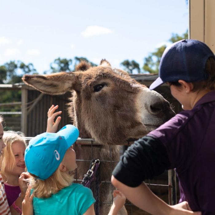 Trevena Glen Farm 1hr Animal Experience (General Public)